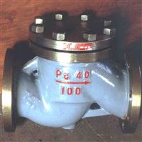 J21B外螺纹氨用截止阀